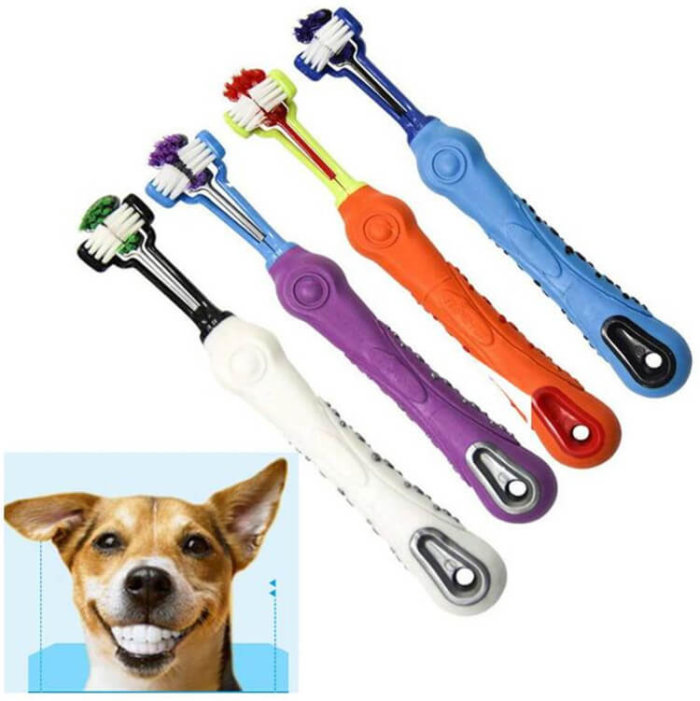 Dog Toothbrush 2